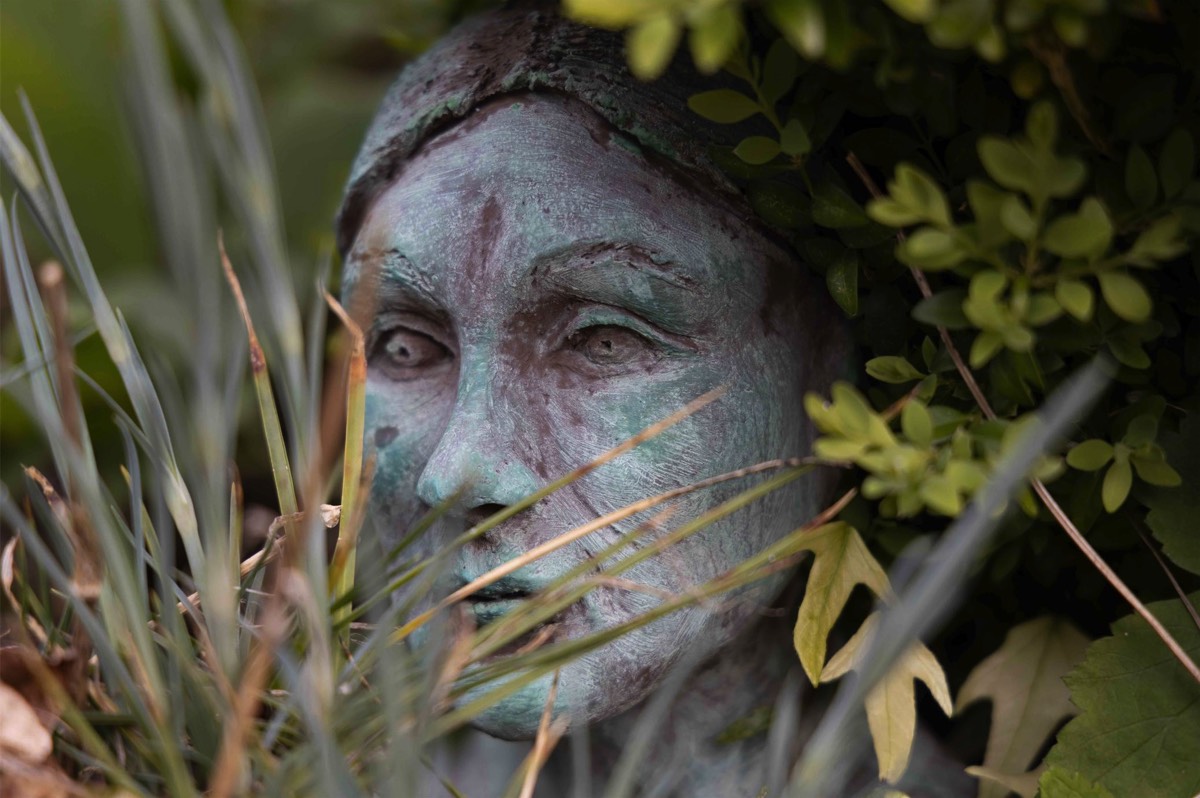 Stacks Image 4485046