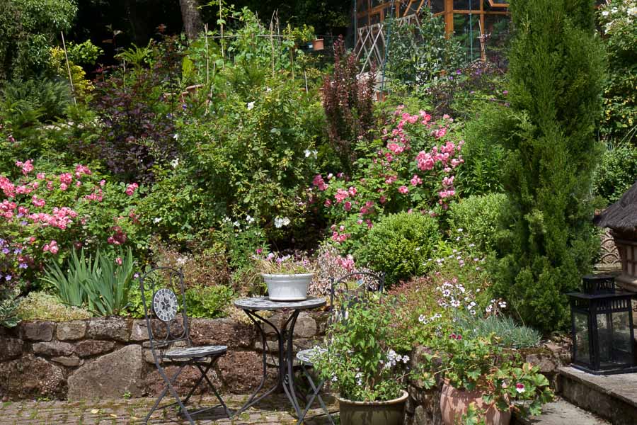 View of the Patio Garden