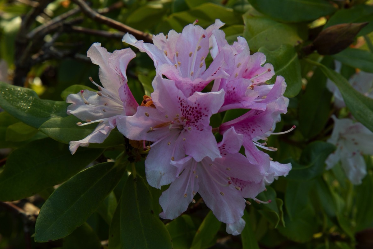 Stacks Image 4485088