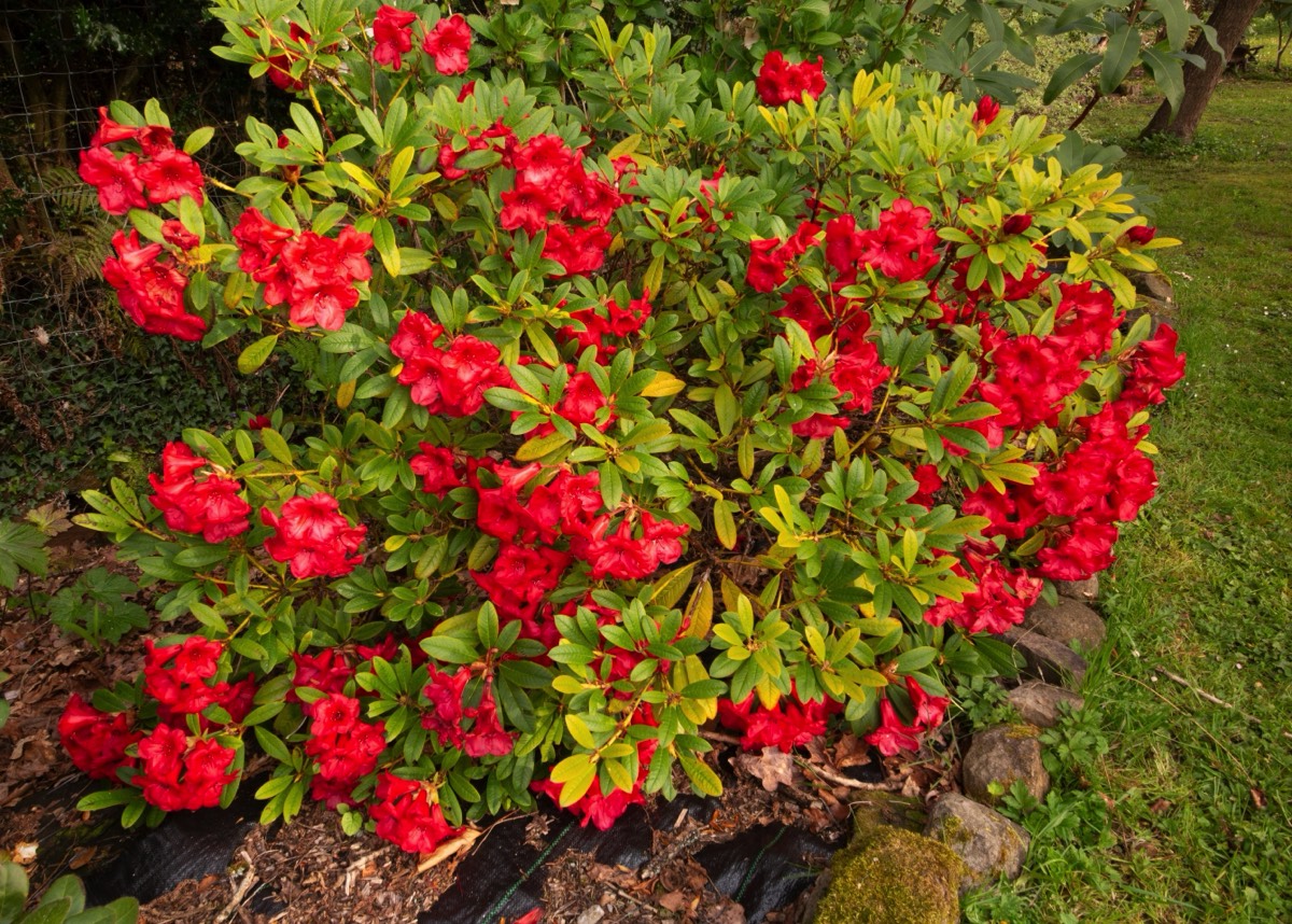 Stacks Image 4485096