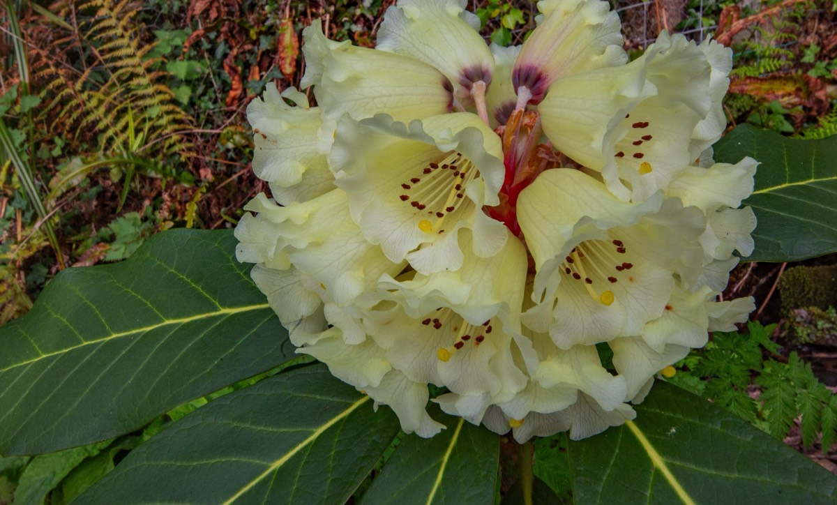 Stacks Image 4485094